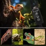 ترموستات دیجیتال لاکی هرپ - تصویر 3