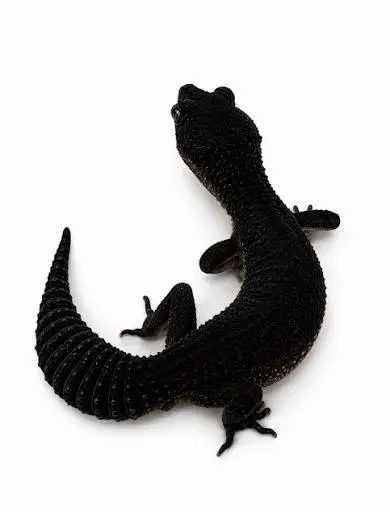 dark-knight-geko-exocenter گکو دارک نایت - تصویر 1